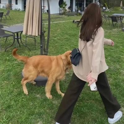 生命的颜色