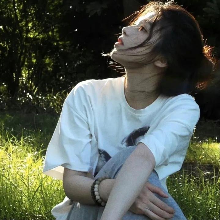 阳光下的法庭